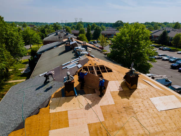 Trusted Flat Roof Repair service in Homer, IN - Brentwood Metal Roofing